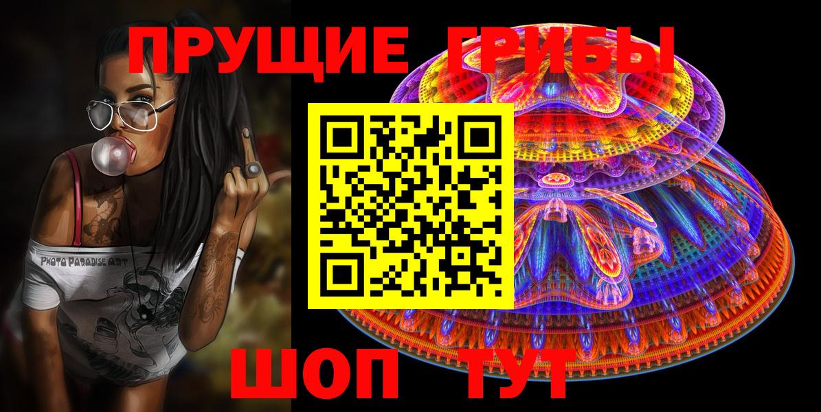 Псилоцибиновые грибы Psilocybe  Вход с VPN  Семёнов 